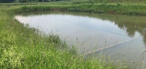 Überflutete Tauchwand nach einem Starkregen-Ereignis – der Leichtstoffabscheider ist außer Funktion